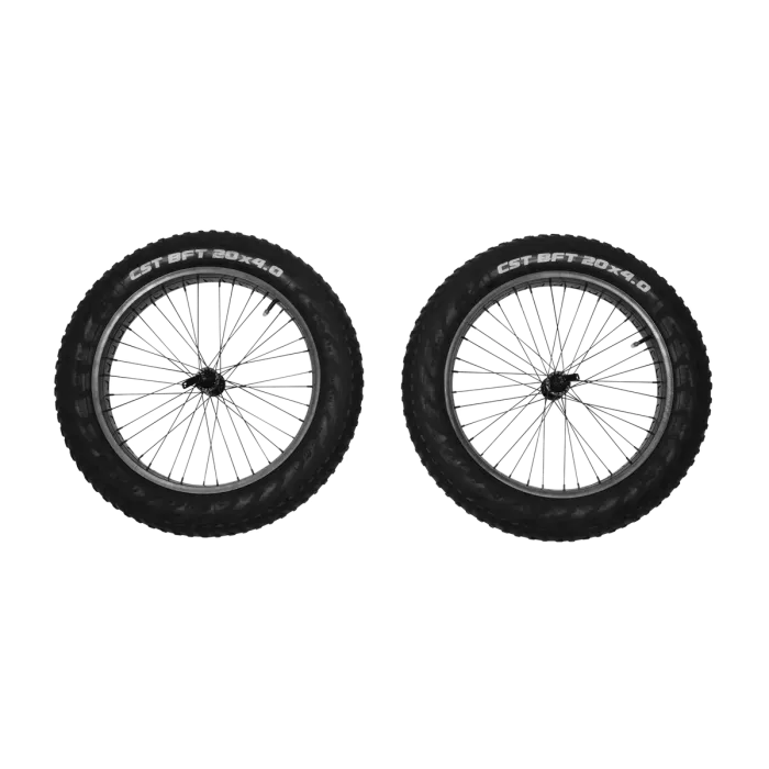 Thule - Thule Reacha 20" Fat Tire Wheel Set