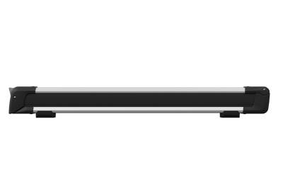 Thule SnowPack 6