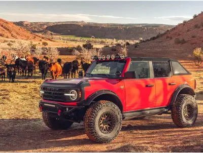 Havoc  - Evoc Fender Flares Havoc para Bronco 21-25 - Image 10