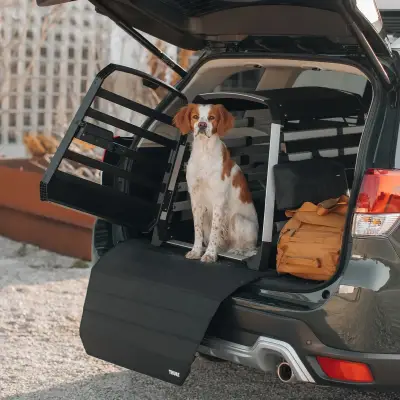 Thule - Jaula Transportadora para Mascotas Thule Allax XS - Image 5