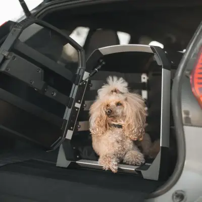 Thule - Jaula Transportadora para Mascotas Thule Allax XS - Image 8
