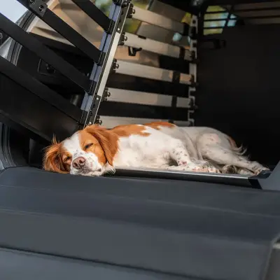 Thule - Tapete protector de Jaula para Mascotas XS,S, M - Image 3