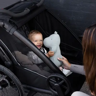 Thule - Thule Chariot Sport 2 Single Negro - Image 9