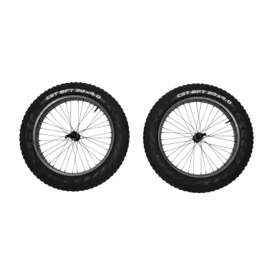 Thule Reacha 20" Fat Tire Wheel Set