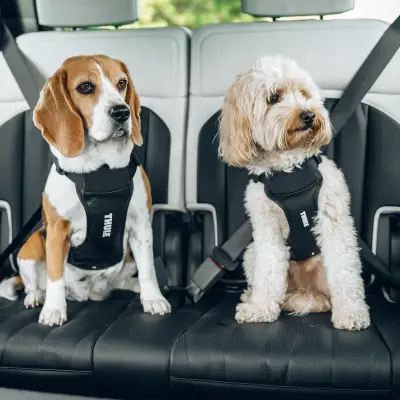 Thule - Arnes de auto para perro Thule Cappy (S) - Image 5