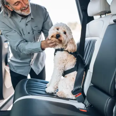 Thule - Arnes de auto para perro Thule Cappy (S) - Image 7