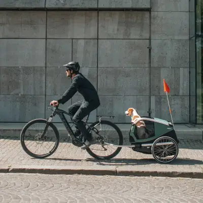 Thule - Remolque para mascotas Thule Bexey (L) - Image 6