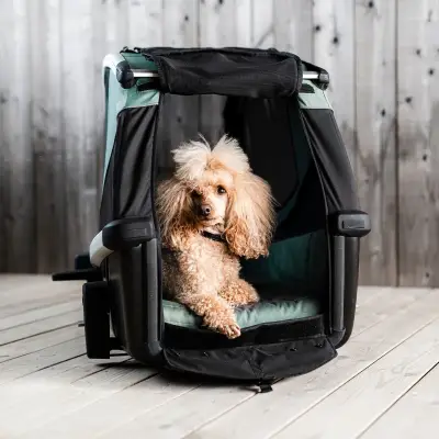 Thule - Remolque para mascotas Thule Bexey (L) - Image 8